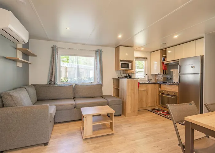 Mh 169 Ronce Les Bains La Tremblade